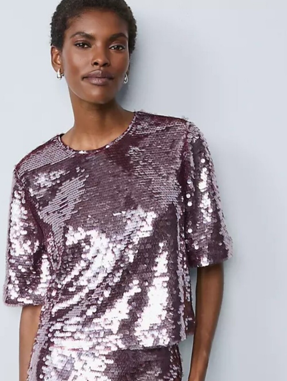 New! Ann Taylor Frosted Burgandy Sequin Short-Sleeve Top